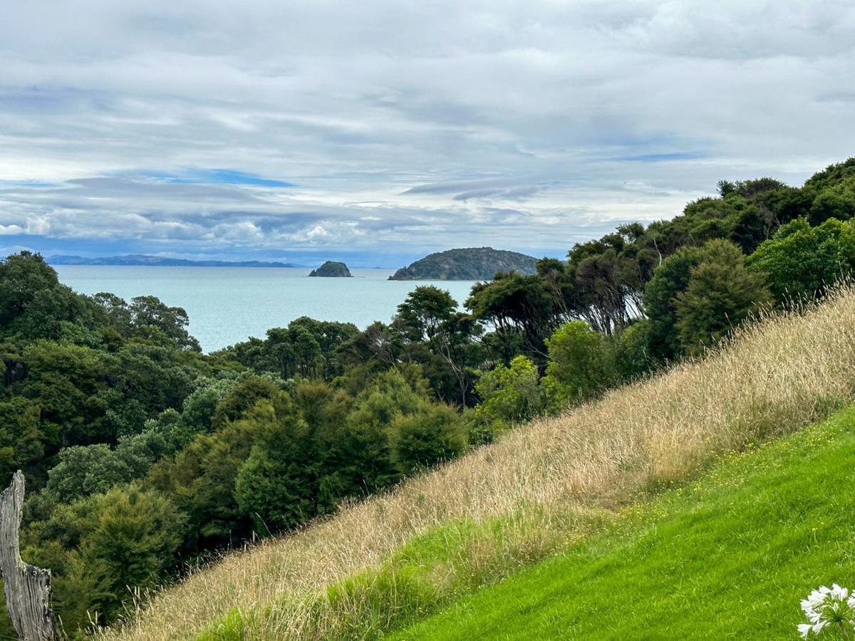 Pohutukawa Coastal Coromandel